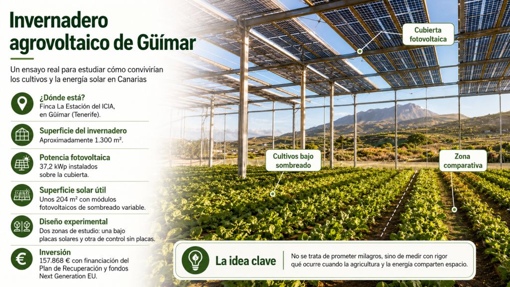 Datos clave del invernadero agrovoltaico de Güímar: ubicación, superficie, potencia fotovoltaica, diseño experimental e inversión.