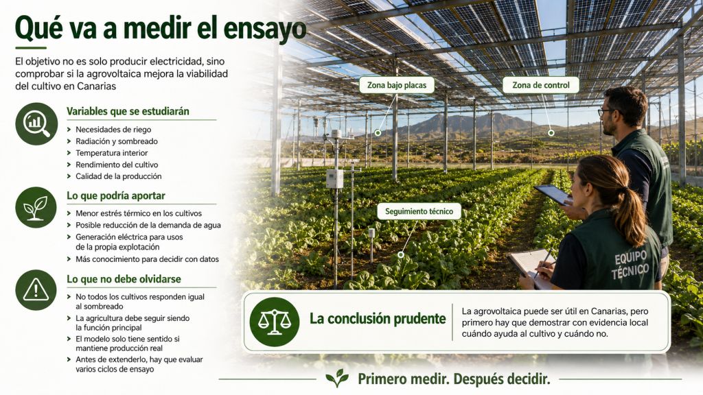 Variables que analizará el ensayo agrovoltaico de Güímar, beneficios potenciales y condiciones para aplicar el modelo en Canarias.