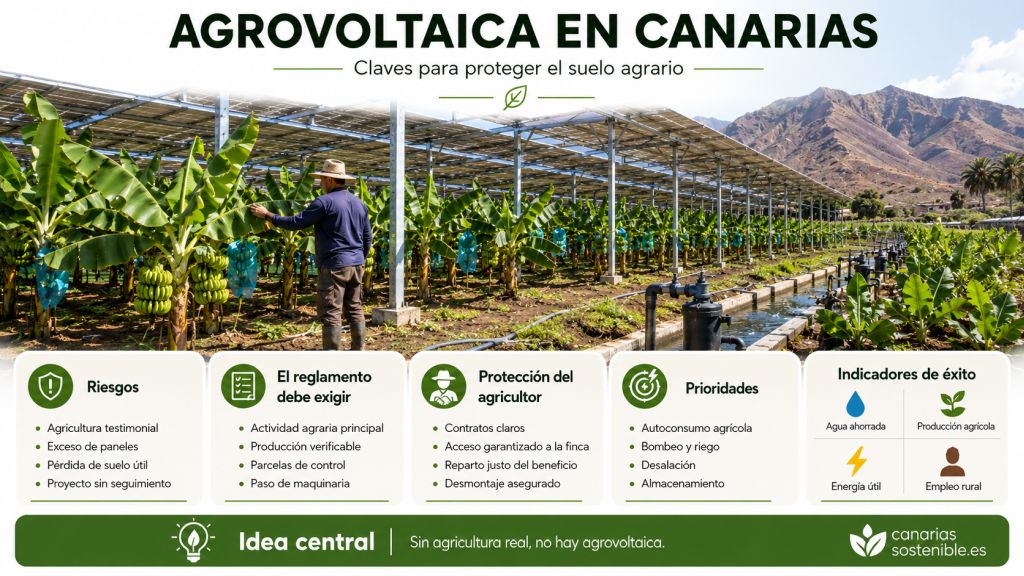 Infografía sobre agrovoltaica en Canarias con los riesgos, requisitos y garantías necesarias para proteger el suelo agrario.