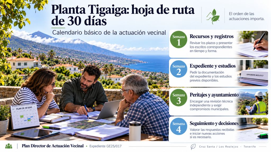 Infografía del Plan Director de la planta Tigaiga con un calendario de cuatro semanas para recursos, documentación, peritajes y seguimiento vecinal.